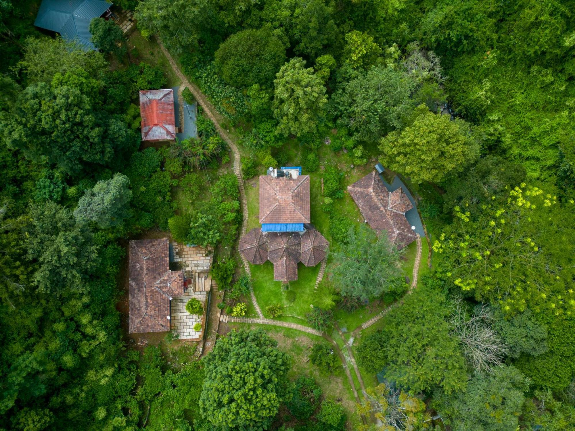 Mahout Resort Wayanad - An Experiential Jungle Stay With Waterfall Kalpatta Exterior foto