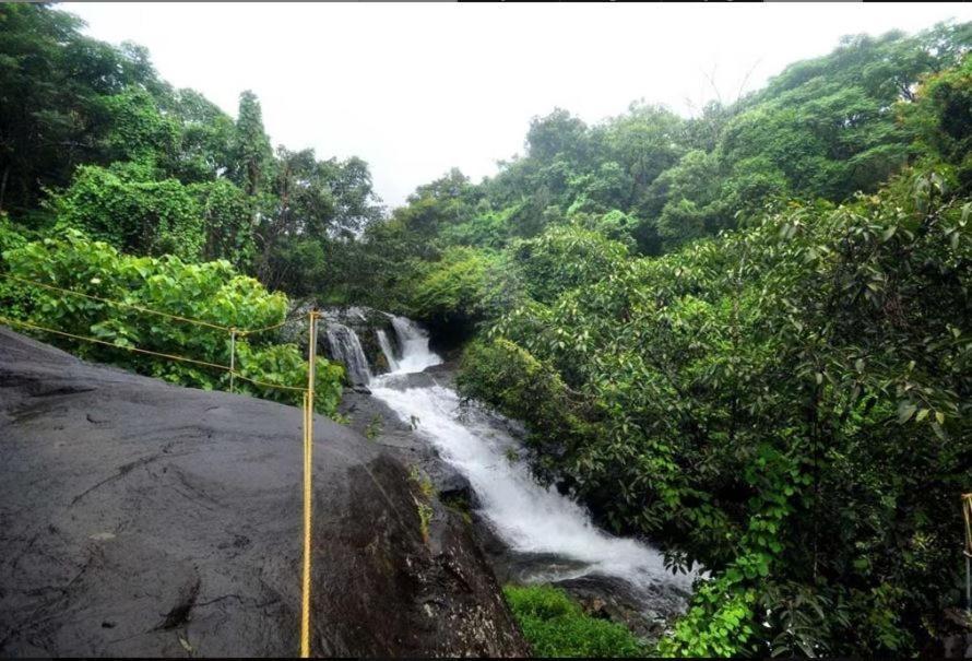 Mahout Resort Wayanad - An Experiential Jungle Stay With Waterfall Kalpatta Exterior foto