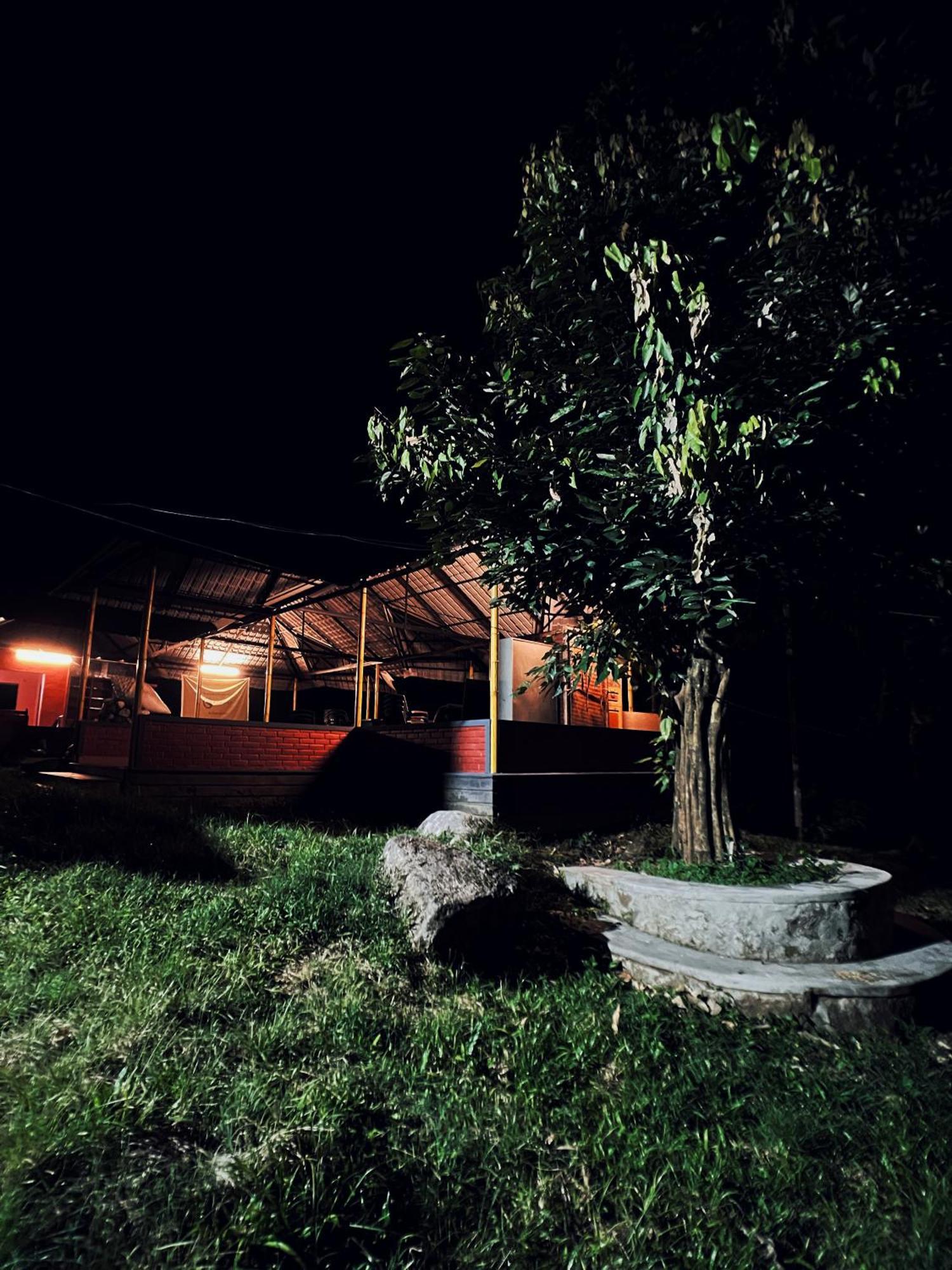 Mahout Resort Wayanad - An Experiential Jungle Stay With Waterfall Kalpatta Exterior foto
