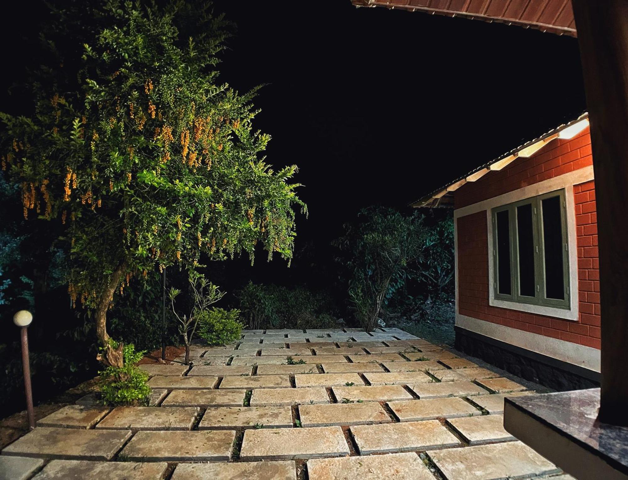 Mahout Resort Wayanad - An Experiential Jungle Stay With Waterfall Kalpatta Exterior foto